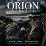 siyah inci kolye 2026 04 14